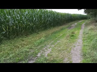 Als Straßennutte unterwegs Als Straßennutte unterwegs