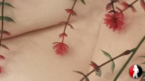 Schöne dicke Brüste mit Pflanzen