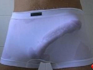 Penis