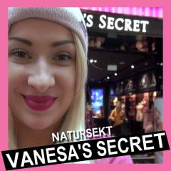 Vanessa`s Secrets