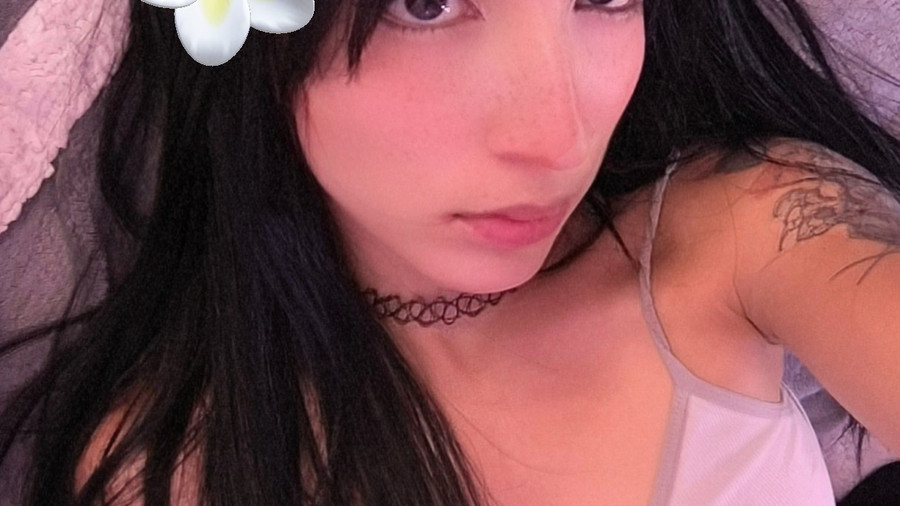 sugarlatina