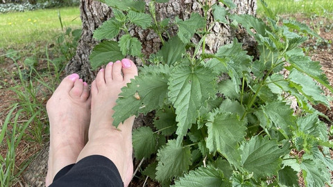 Meine Füße für dich in der Natur