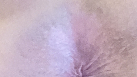 Ohne Filter